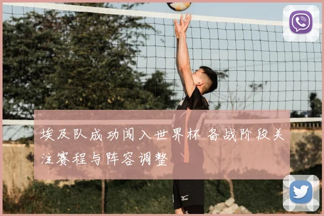 埃及队成功闯入世界杯 备战阶段关注赛程与阵容调整