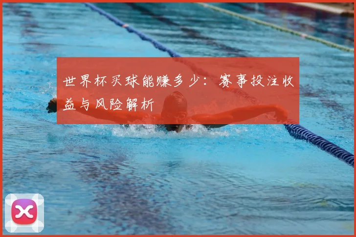 世界杯买球能赚多少：赛事投注收益与风险解析